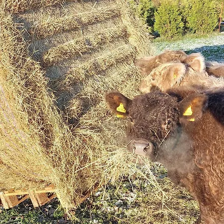 Apartment Auf Dem Land *