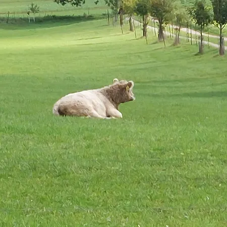 Auf Dem Land Apartmán Dittersbach