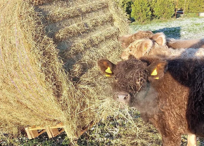 Appartement Auf Dem Land *